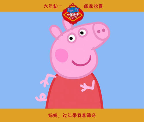 HochschuleRosenheim公共管理文凭证书